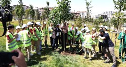 Bağcılar Belediyesi’nin hedefi ilçede 100 bin ağaç dikmek