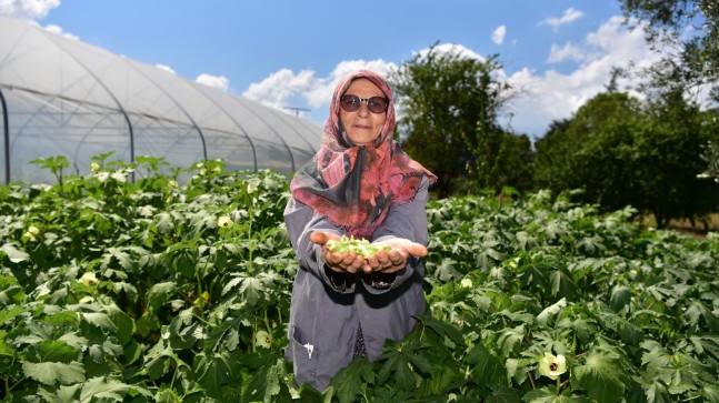 Tuzlalı 65 yaş üstü büyüklerin elleriyle ektiği mahsuller hasat verdi