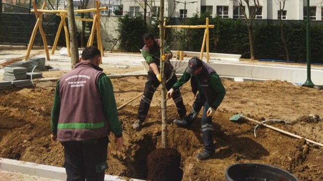 Ümraniye’de iklim krizine karşı 40 bin ağaç toprakla buluştu